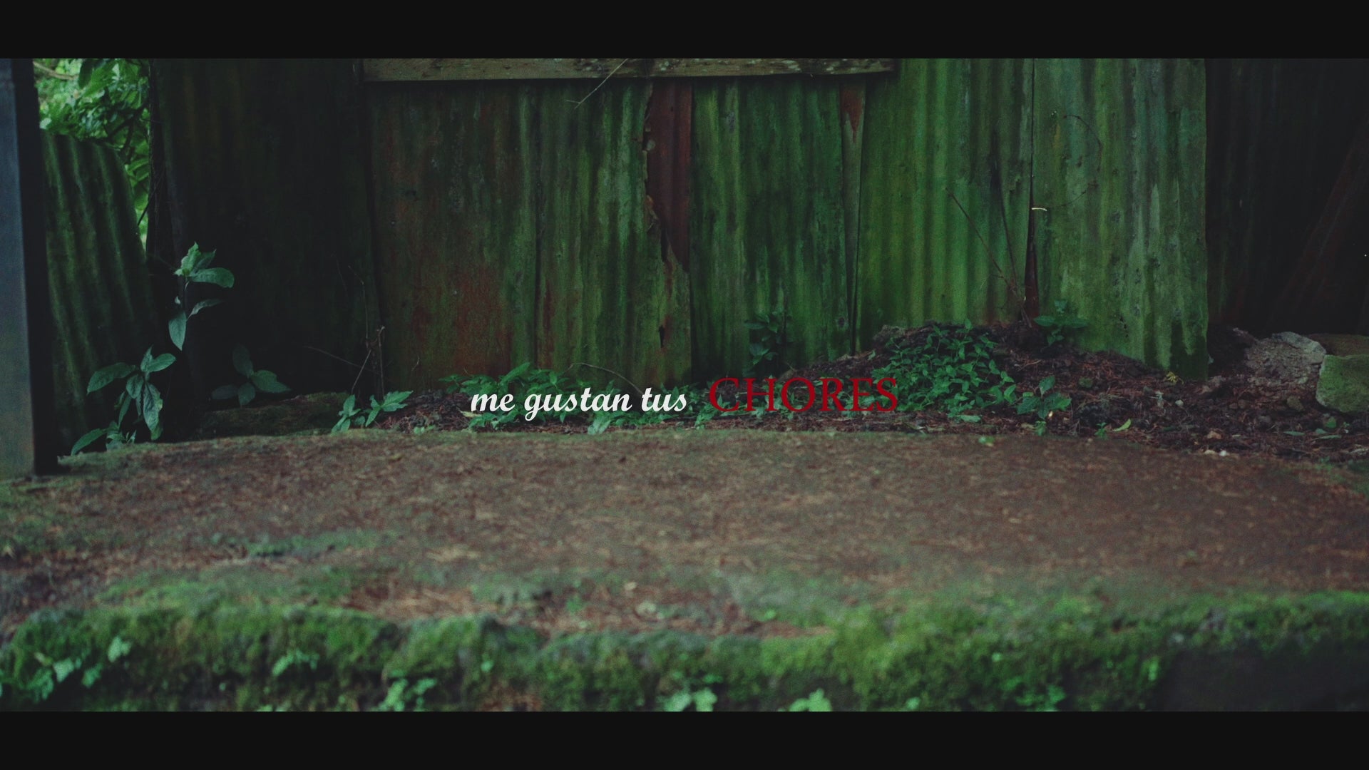 Cargar video: 